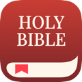 bible ico